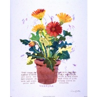 (16 x 20) Art Print OV0304 Nancy Overton - Gerbera