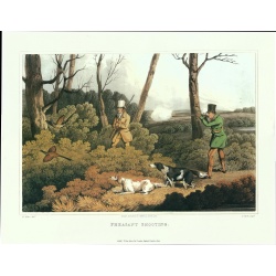 (14 x 18) Art Print AL002 I Clark Sculpt - Pheasant  Shooting - Printed in Italy