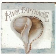 Lot of 11 (6 x 6) Art Print LA11051 Lisa Audit - Rapa Papyracee