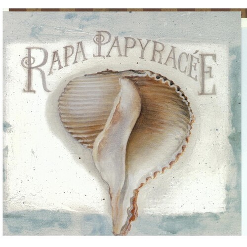 (6 x 6) Art Print LA11051 Lisa Audit Rapa Papyracee