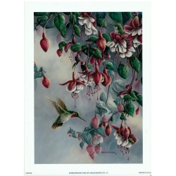 (5.5 x 7.5) Art Print HUM003 Unknown