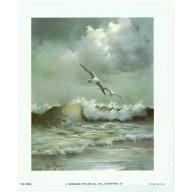 (5 x 6) Art Print SC1369 Nina Barnes Seagull Flying over the sea