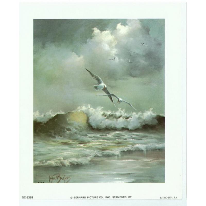 (5 x 6) Art Print SC1369 Nina Barnes Seagull Flying over the sea
