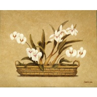 (16 x 20) Art Print DL0314 DEBRA LAKE - 