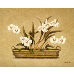 (16 x 20) Art Print DL0314 DEBRA LAKE - 