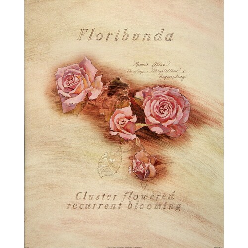 (16 x 20) Art Print DT0302 Applejack Art Partners