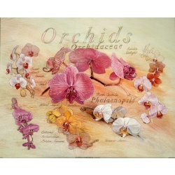 (16 x 20) Art Print DT0306 Applejack Art Partners - 