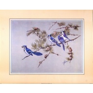 (16 x 20) Art Print BI1187 Anni Moller - 