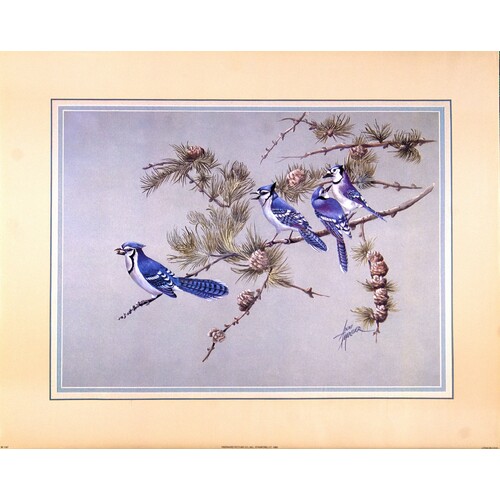 (16 x 20) Art Print BI1187 Anni Moller