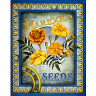 Lot of 2 (11 x 14) Art Print FR0255 Lillian - Deluxe Marigild Seeds