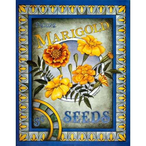 (11 x 14) Art Print FR0255 Lillian Deluxe Marigild Seeds