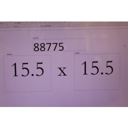 15.5 x 15.5 Framed Collector Plate 1979 Germany Blossom Queen Delores Valenza