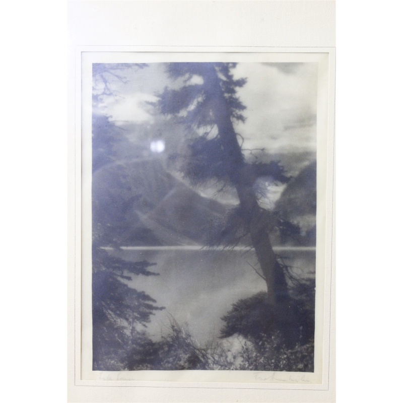 14 x 17.25 Framed Picture Signed