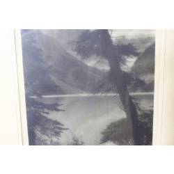 14 x 17.25 Framed Picture Signed