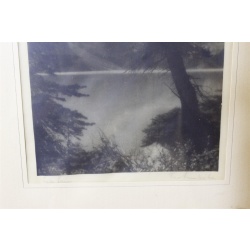 14 x 17.25 Framed Picture Signed