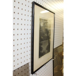 14 x 17.25 Framed Picture Signed