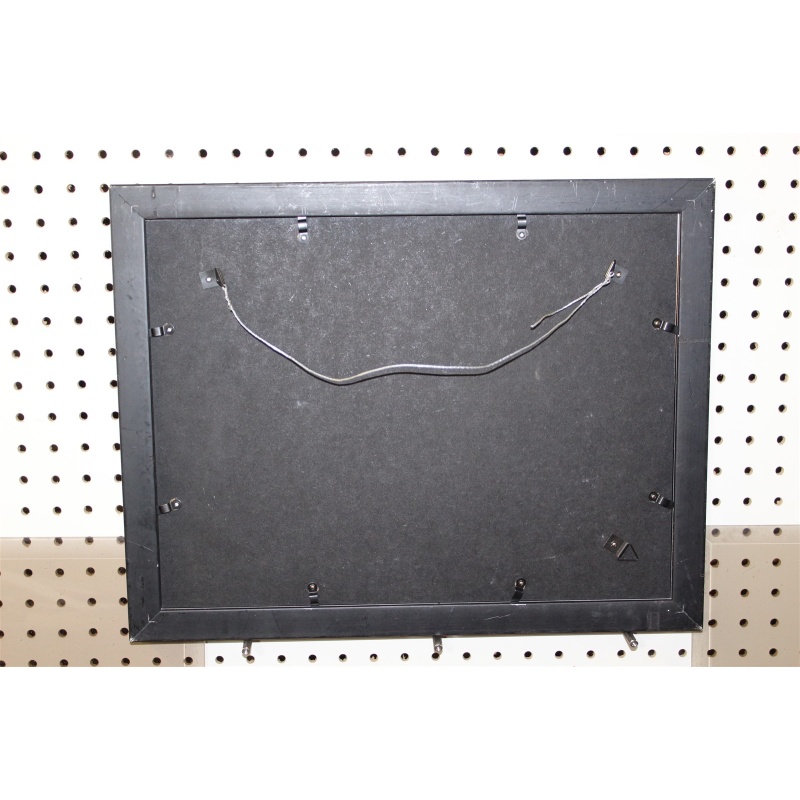 18 x 14 Framed Picture - Signed - Cracked Glass