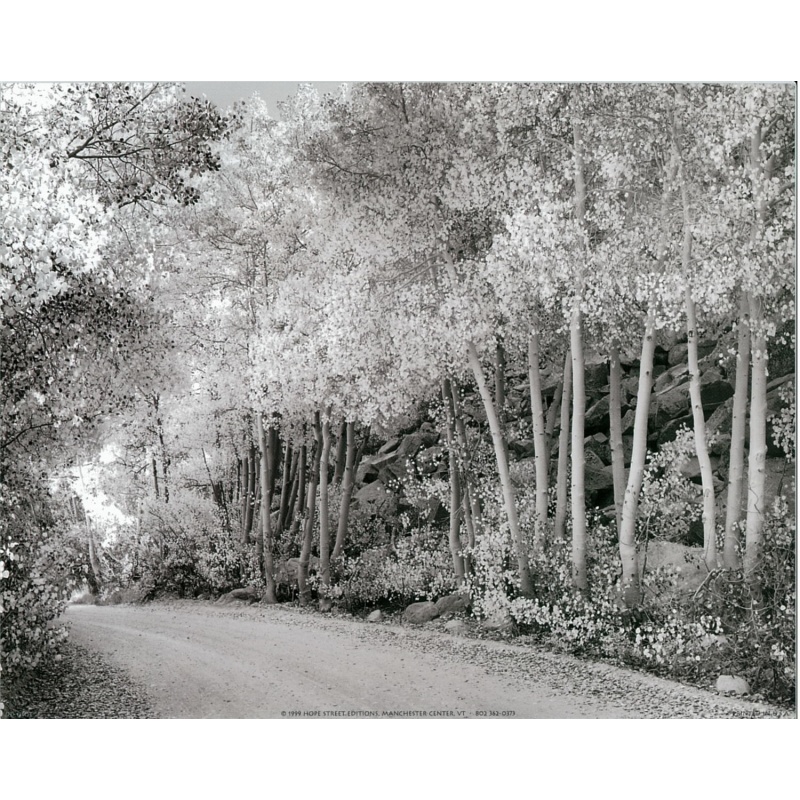 Lot of 5 (8 x 10) Art Print DD0103 Applejack Art Partners - 1999 Hope Street Edition