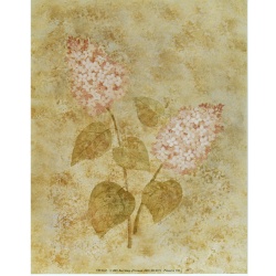 (8 x 10) Art Print VW0142 Valorie Evers Wenk - 