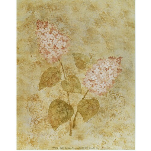 (8 x 10) Art Print VW0142 Valorie Evers Wenk