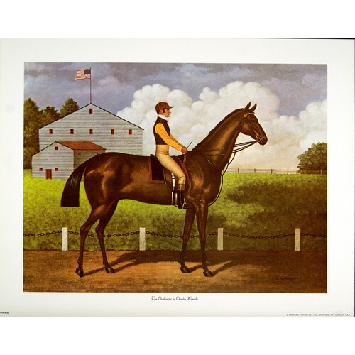 (11 x 14) Art Print AMER30 Charles Wysocki