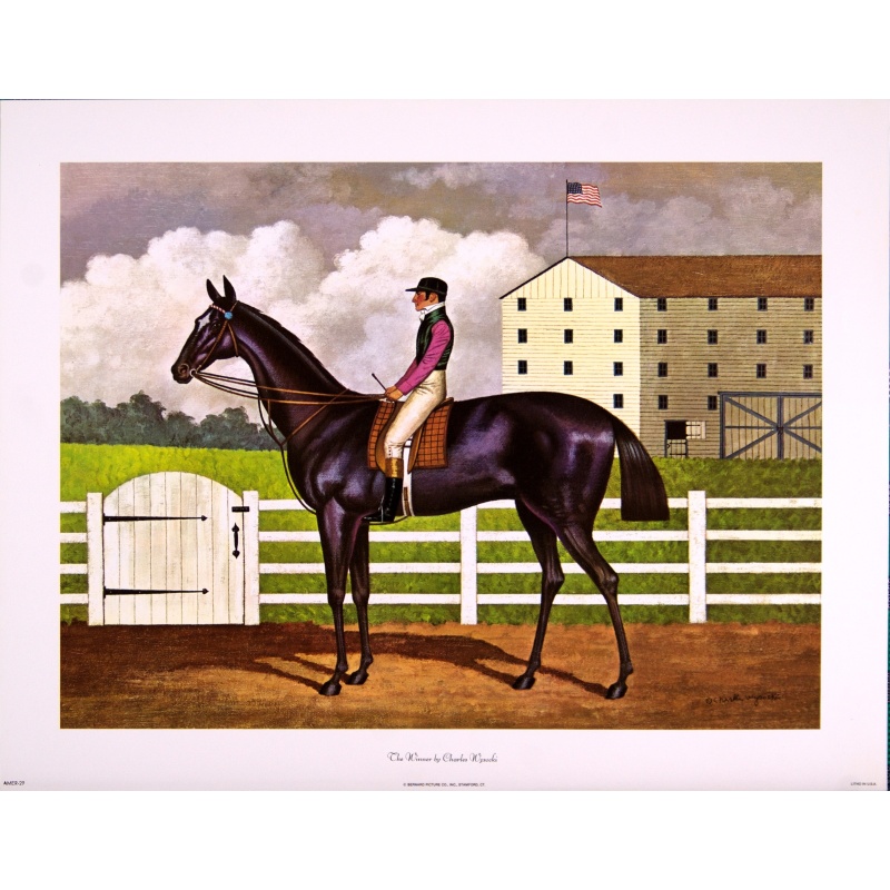 (11 x 14) Art Print AMER29 Charles Wysocki - 