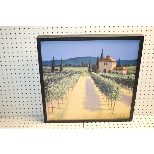 21 x 20.5 Framed  art Signed David Short