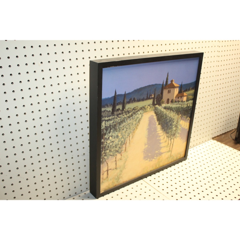 21 x 20.5 Framed  art Signed David Short