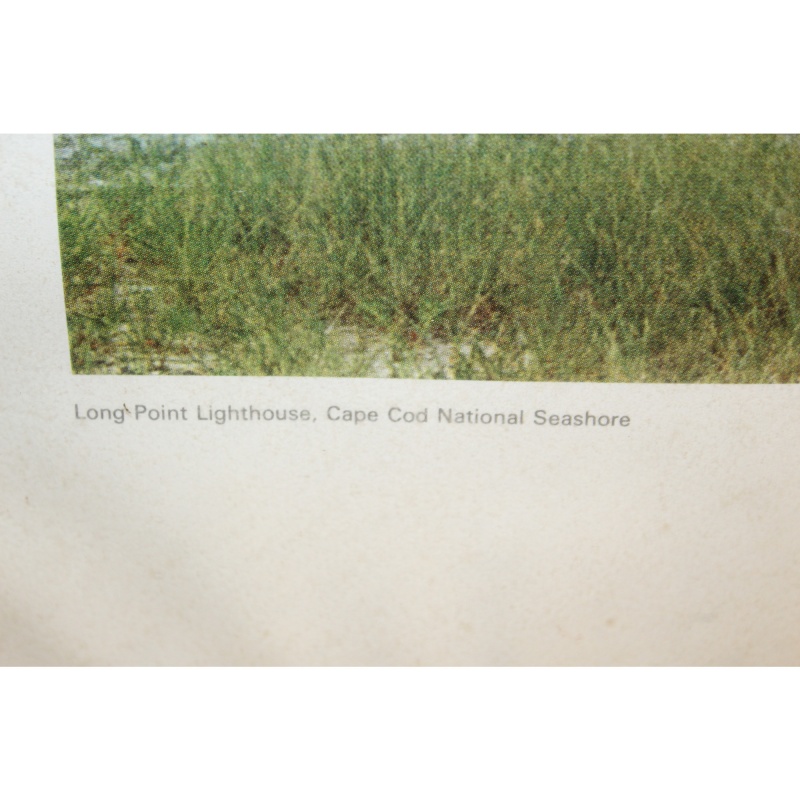 29.5 x 24 Framed Print LONG PT. LIGHTHOUSE CAPECOD