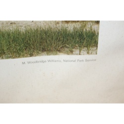 29.5 x 24 Framed Print LONG PT. LIGHTHOUSE CAPECOD