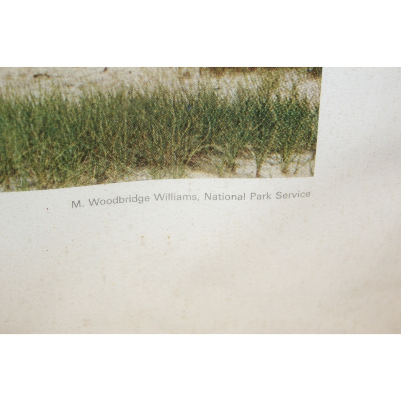 29.5 x 24 Framed Print LONG PT. LIGHTHOUSE CAPECOD