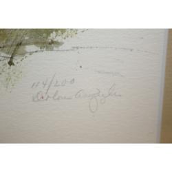 22 x 18 Framed Print Signed Dolores Ann Ziegler 114/200