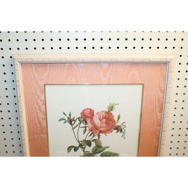 19.5 x 26 Framed Print Rosa centifolia foliacea Pierre-Joseph Redouté