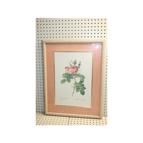 20 x 26 Framed Print rosa bifera officinalis Pierre-Joseph Redouté
