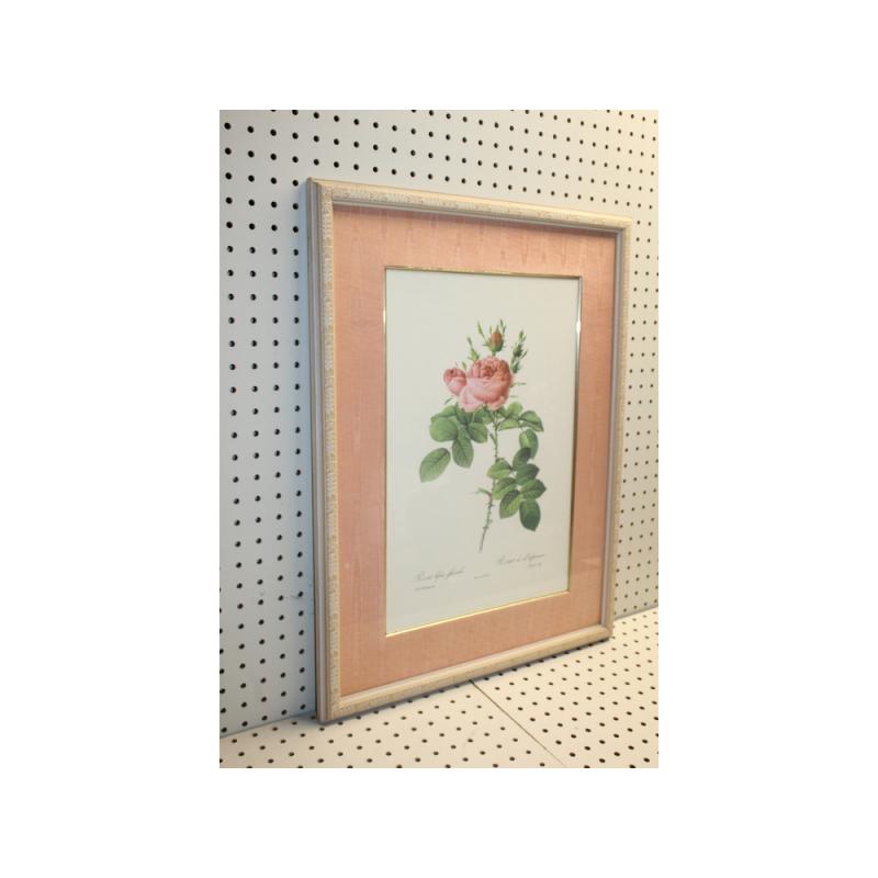 20 x 26 Framed Print rosa bifera officinalis Pierre-Joseph Redouté