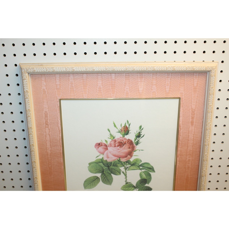20 x 26 Framed Print rosa bifera officinalis Pierre-Joseph Redouté