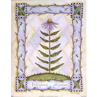 Lot of 2 (11 x 14) Art Print BE0220 Robin Betterley - 