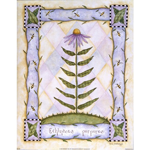 (11 x 14) Art Print BE0220 Robin Betterley