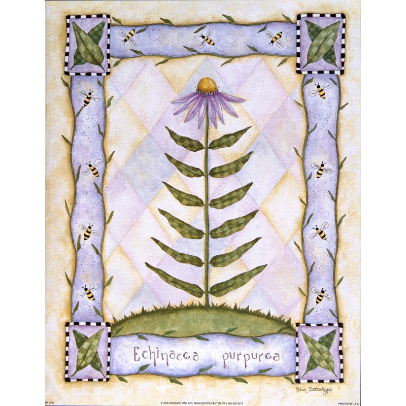 (11 x 14) Art Print BE0220 Robin Betterley - 