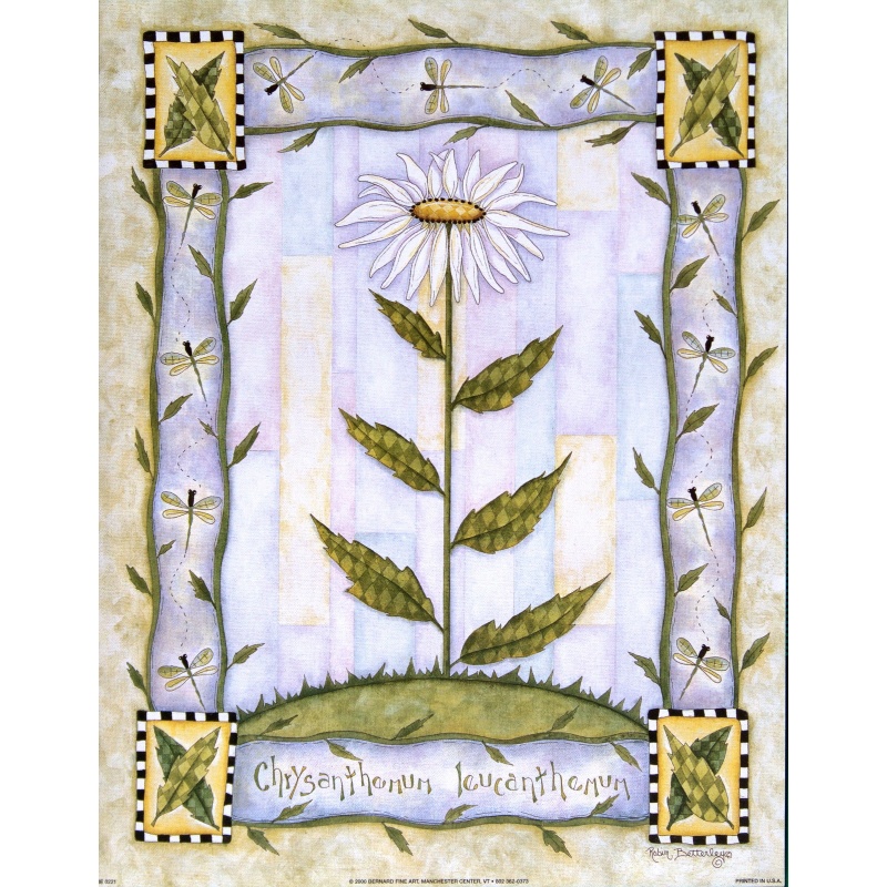 (11 x 14) Art Print BE0221 Robin Betterley - 