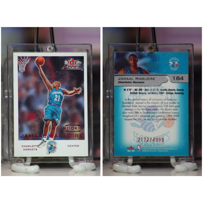 2000-01 Fleer Focus /4999 Jamaal Magloire #184 Rookie