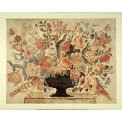 (16 x 20) Art Print IS002 Rose Selavy Ltd. - Italian School Flower Drawing II