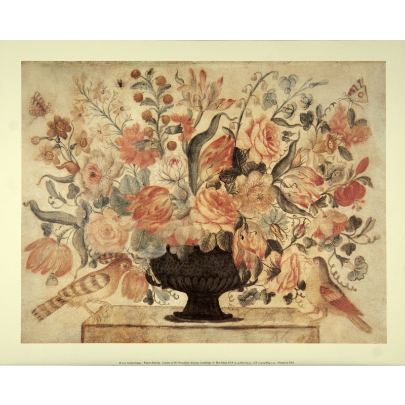 (16 x 20) Art Print IS002 Rose Selavy Ltd. - Italian School Flower Drawing II