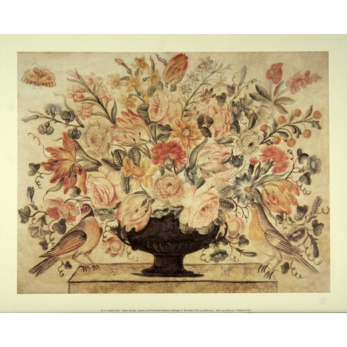 (16 x 20) Art Print IS001 Rose Selavy Ltd. Italian School Flower Drawing