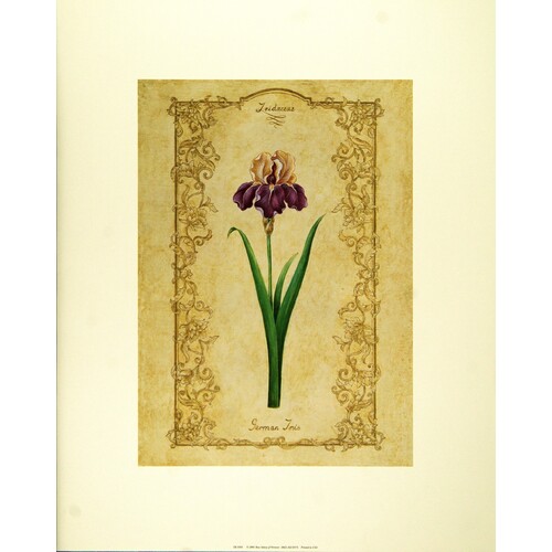 (16 x 20) Art Print EK0301 Ekapon