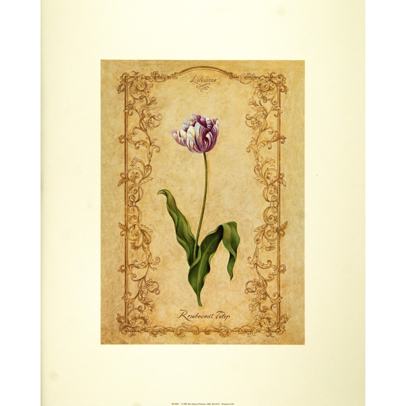 (16 x 20) Art Print EK0304 Ekapon - 