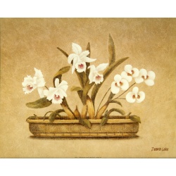 (16 x 20) Art Print DL0313 DEBRA LAKE - 