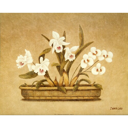 (16 x 20) Art Print DL0313 DEBRA LAKE