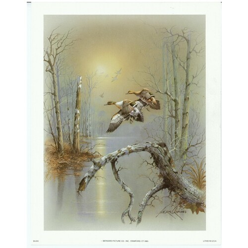 (7 x 9) Art Print BI819 Andres Orpinas