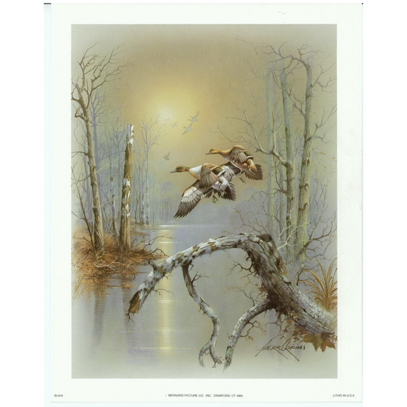 (7 x 9) Art Print BI819 Andres Orpinas